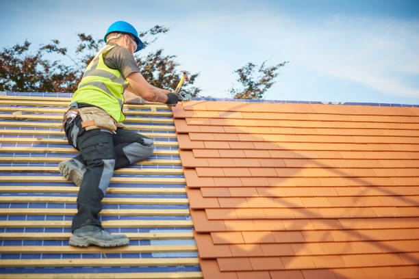 Best Asphalt Shingle Roofing  in Innotion, VA